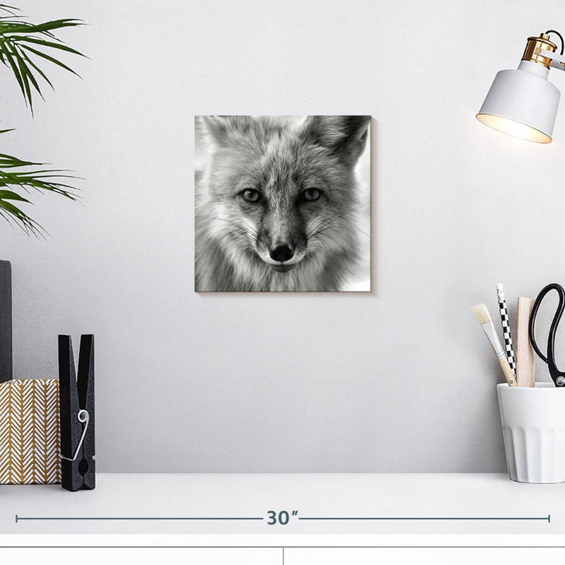 Crowle Fox Portrait, H 10 po x l 10 po