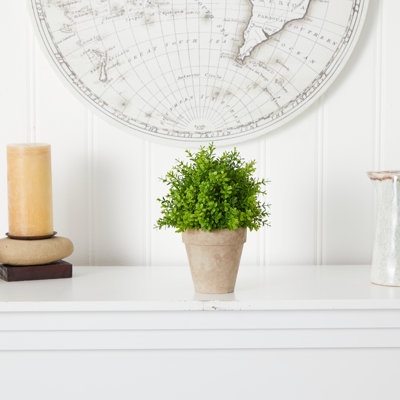 8 po Buis plante artificielle en pot décoratif