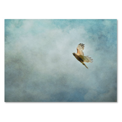 «Up Up and Away Red Épaule Hawk», impression sur toile tendue Vidur