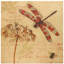 Bamboo Window Shade Blind - Dragonfly 36" W-167396026