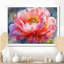 Sunlit Peony Bloom of Elegance I - pivoines, art mural-369010516-369010512