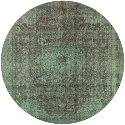 Albiona Indoor Rug