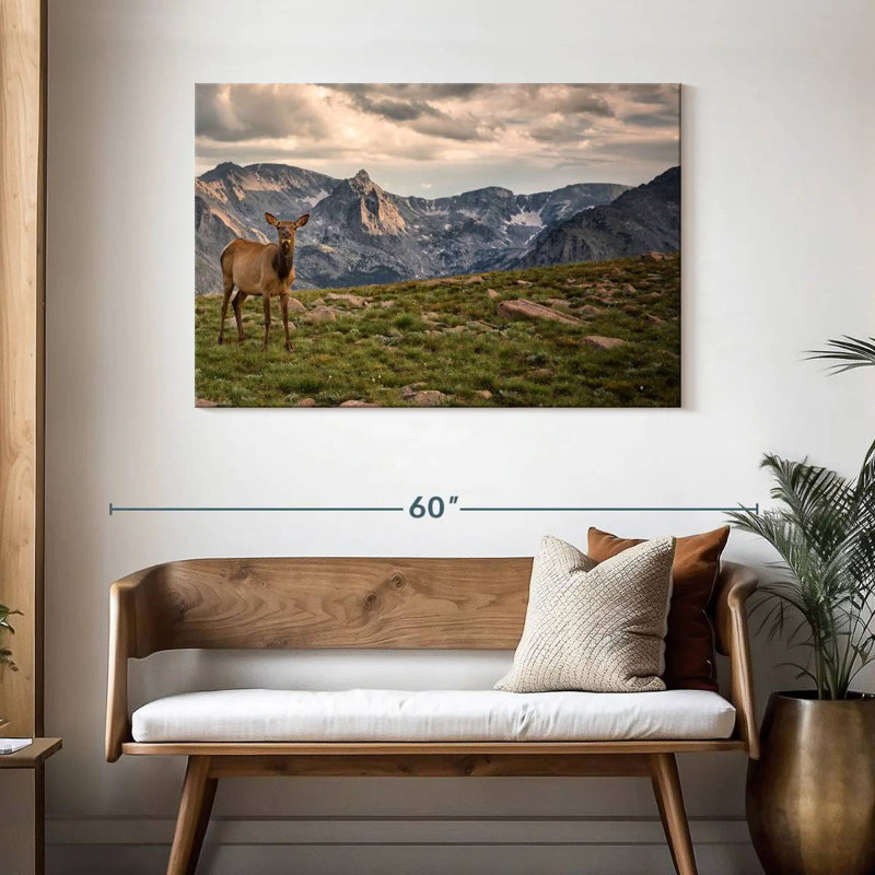 Brampt Rocky Mountain Elk, 30" H x 45" W