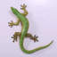 Grande statue de gecko lézard grandeur nature
