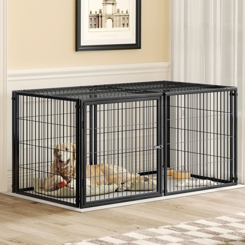 Grand parc pour chien avec cage