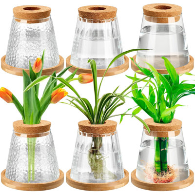 6 Pcs Plants Propagation Station Separated Desktop Plant Terrarium with Wood Lid and Stand