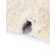  Tapis perle