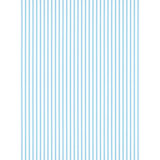 Johnson Stripe Wallpaper Roll