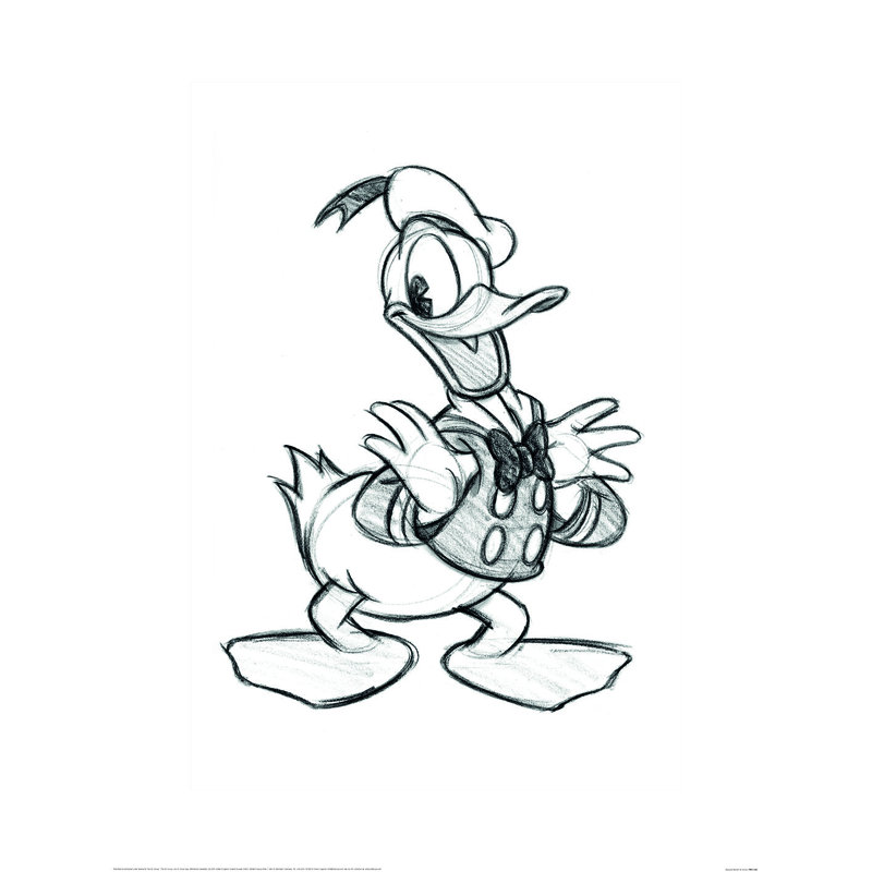 Donald Duck (Sketch) Paper Print