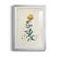 Traditional Botanical III - reproduction de cadre photo-1822273053-1822273042