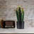 Artificial Cactus Potted Plant