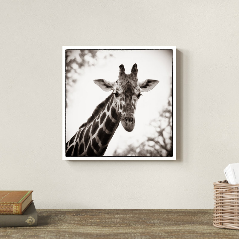 Girafe I, H 12 po x l 12 po