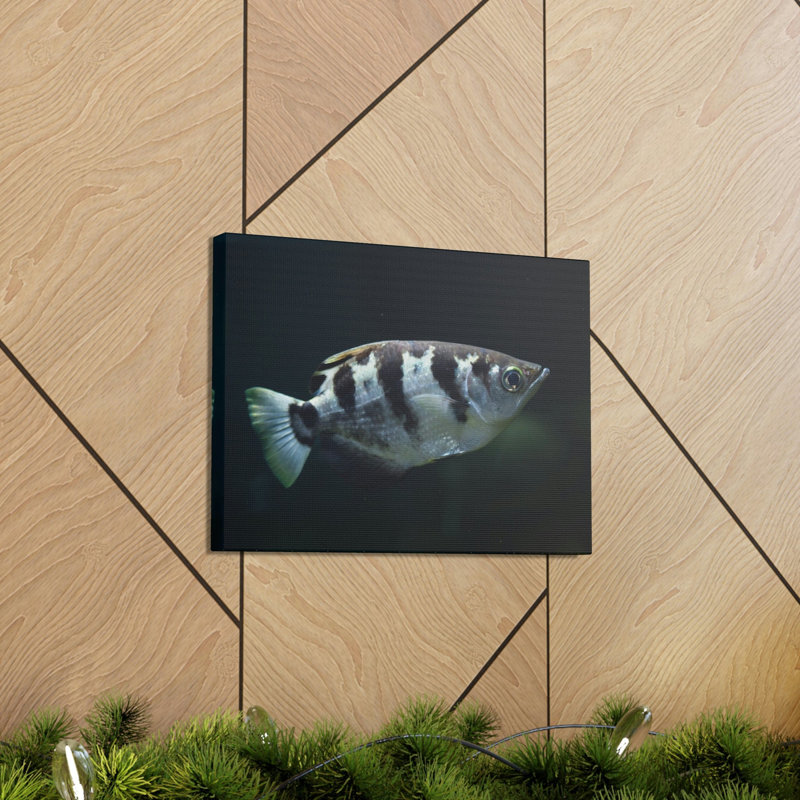 Art de poisson majestueux Archer, H 12 po x l 18 po