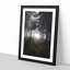 White Wolf in a Forest - Picture Frame Painting Print-56854629-56854633