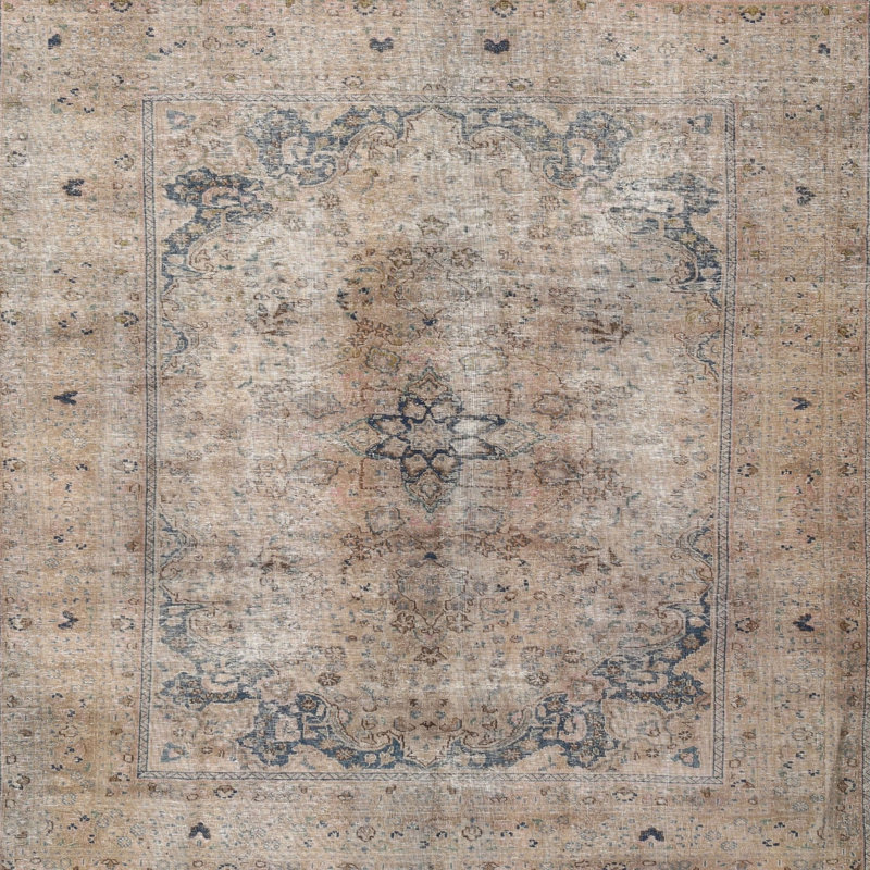 Brutus Wool Oriental Indoor Rug, Square 8'