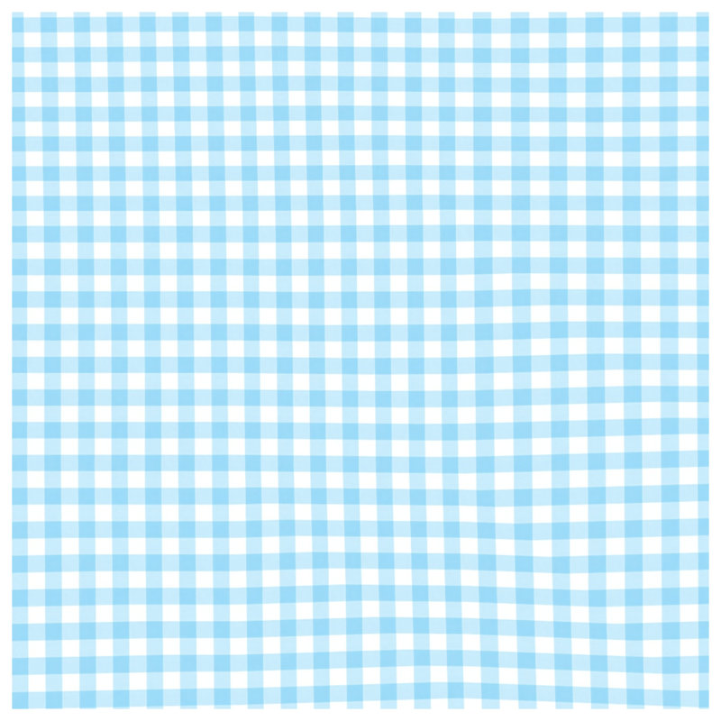 Blue White Gingham Comforter, Twin Extra Long