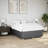 Latitude Run® Bed Frame Without Mattress  Fabric-693524264-693524267