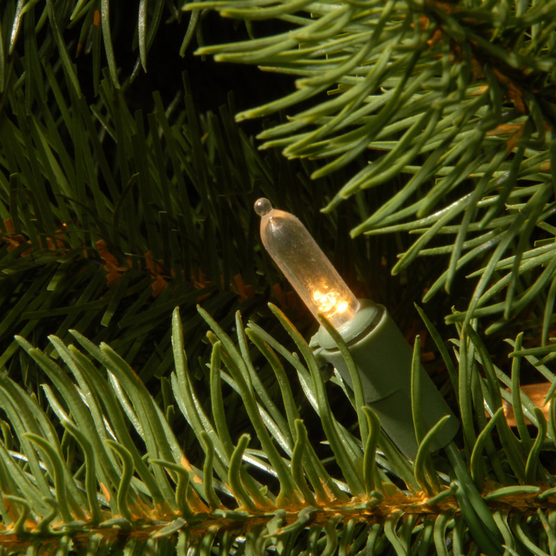 Sapin de Noël artificiel Dunhill, 6.5'