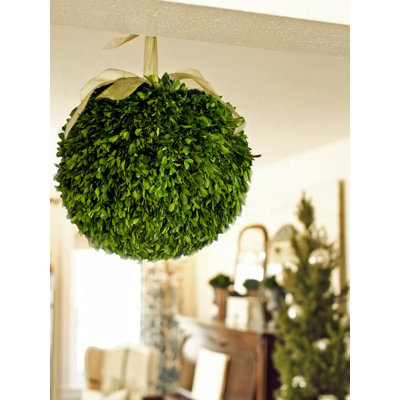 Gracie 12'' Boxwood Topiary