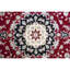 Oriental Area Rug-1682477668