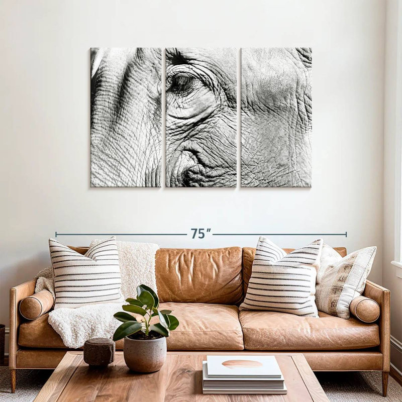 Elephant Close Up BW, 36" H x 57" W