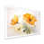 White Single Picture Framed