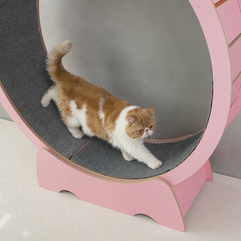 Denora 45'' Large Cat Running Wheel Treadmill, Pink