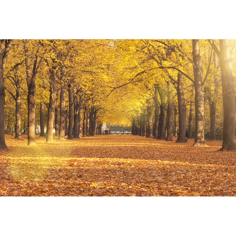 Autumn A Park Bench - Wrapped Canvas Print, 20cm H x 30cm W x 3.8cm D