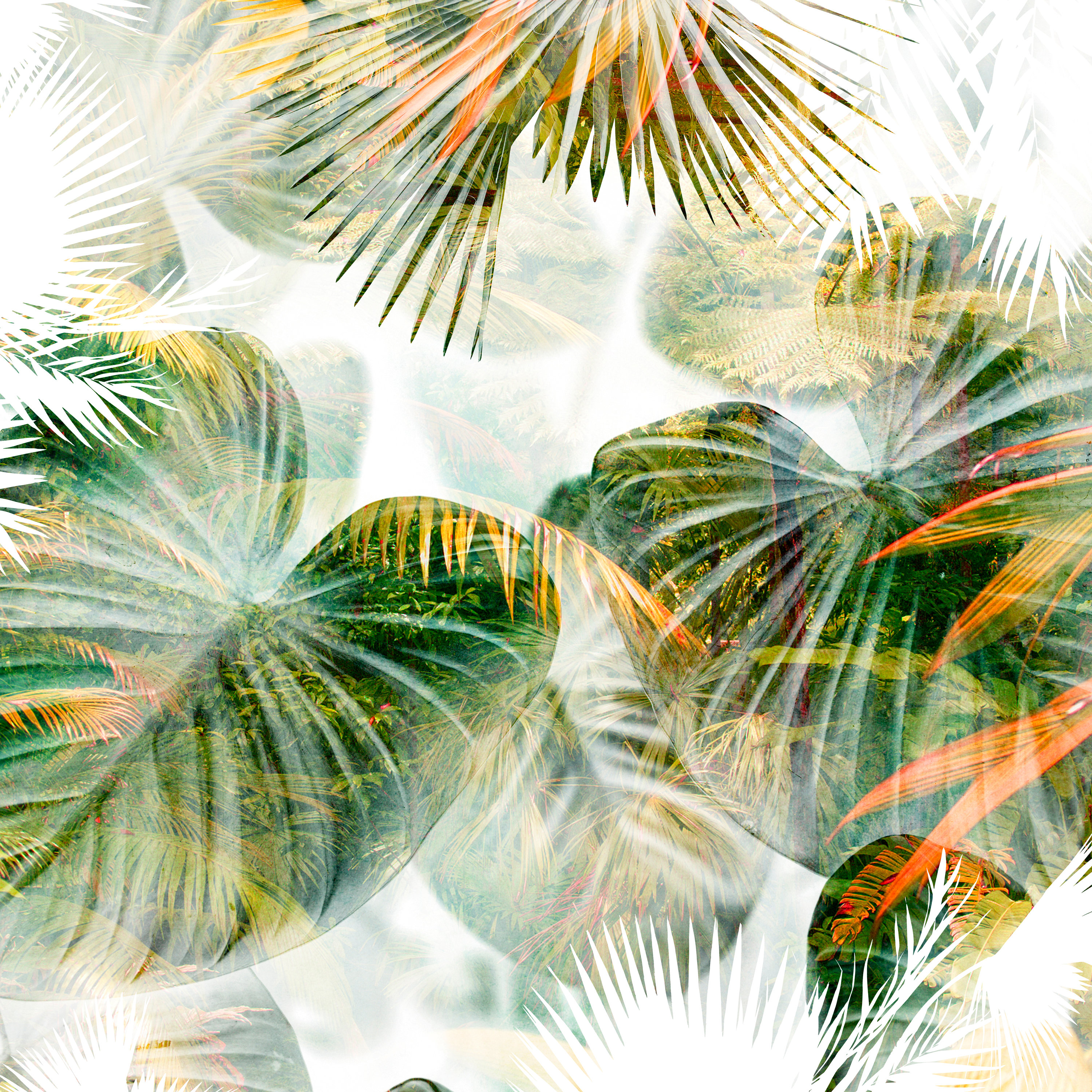 Bay Isle Home™ Tropical Lush - Wrapped Canvas Photograph | Wayfair