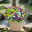 12 Bundles Artificial Flowers Outdoor UV Resistant Faux Flower and Plants Plastic Fake Greenery Shrubs for Outside Planter Porch Window Boxes Garden Decoration