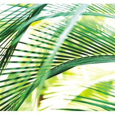Sabio 2.6m x 2.79m Matte Wallpaper Roll