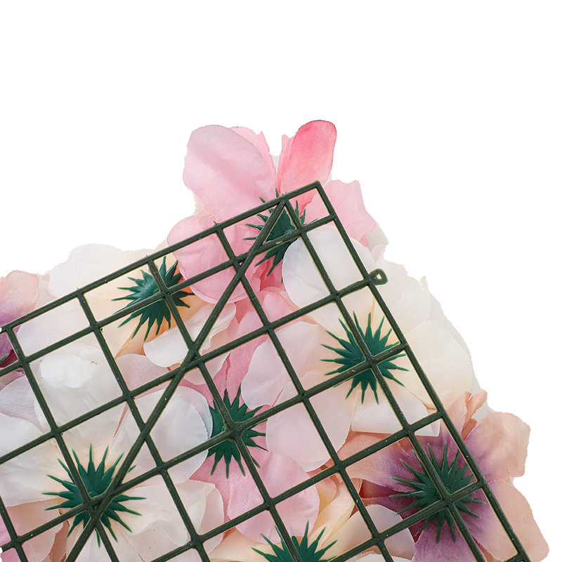 Plant, Pink/White