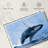 Brampt Leaping Humpback Whale-107868453