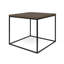Rapp Frame End Table