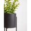 30cm Faux Herbs Plant in Stone Pot