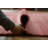Modern Solid Gabbeh Persian Area Rug 9x12