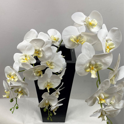 Orchidée dans un vase
