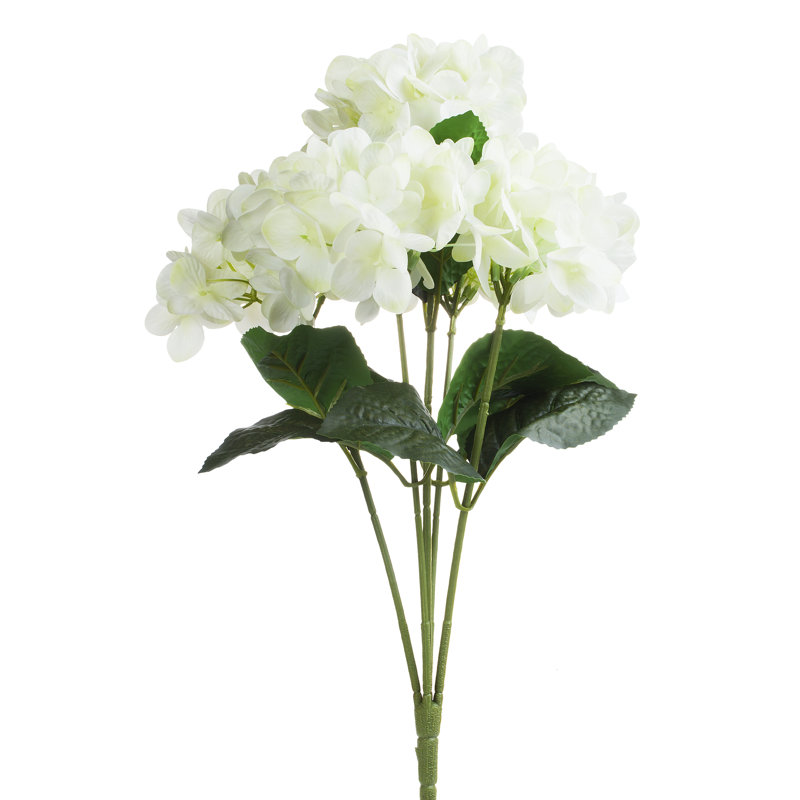 Buissons d’hortensias, Crème