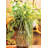 Mixed Assortment Arrangement