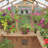 6.7 x 7.8 Meridian Greenhouse-124300972