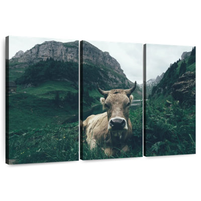 Brampt Swiss Alps Cow