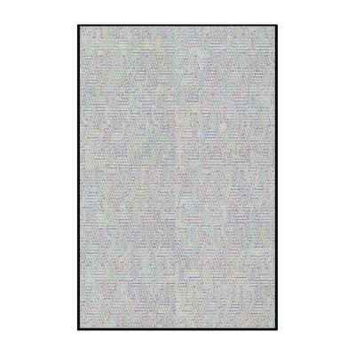 Indoor Rug