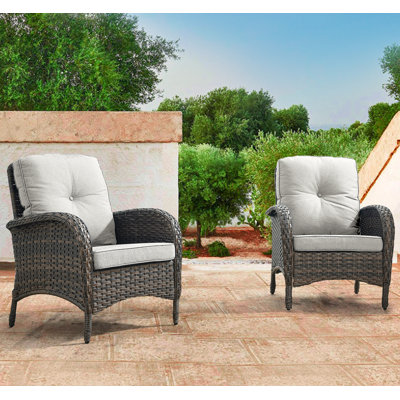 Aluel Wicker Rattan Outdoor Lounge Chair