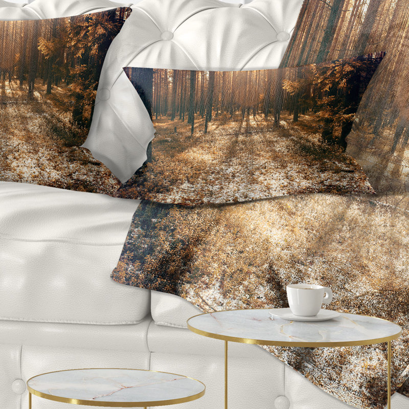 Coussin Forest Road