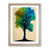 Oak