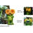Gionni Frog Plastic Garden Statue