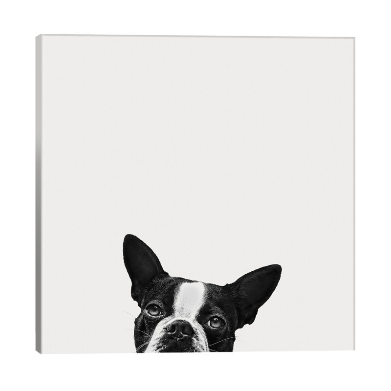 Jon Bertelli - Wrapped Canvas Print, 66.04 cm H x 66.04 cm W x 3.175 cm D