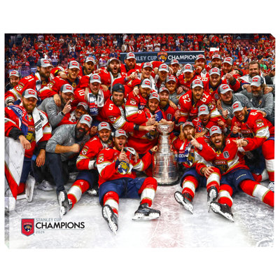 Panthers de la Floride, toile 16 x 20, coupe Stanley 2024