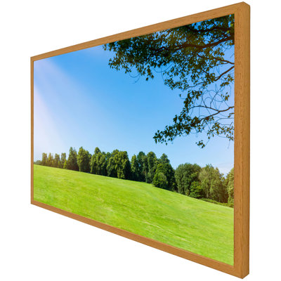 Urbain Beauty Landscape Of Grass Field With Forest Trees And Environment Public Park With Sun Rays - Single Picture Frame Print