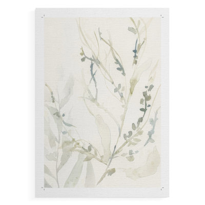Elegant Sea Kelp II -Canvas Print Only - NOT FRAMED